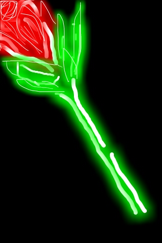 Of The Flower In My&nbsp;Garden