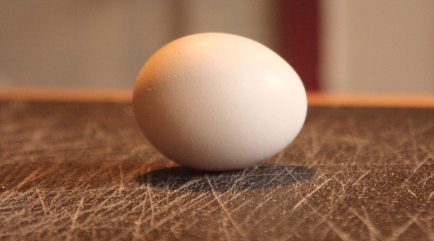Egg Roll.jpg