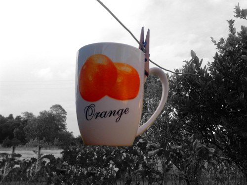 The coffee mug labelled orange