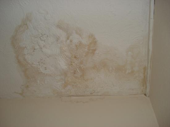 Of The The Thing In The&nbsp;Ceiling