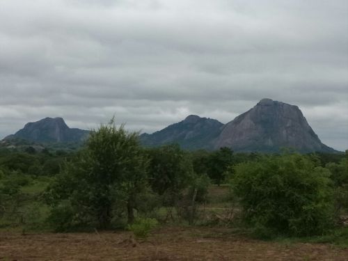 Zhanje Mountain, Neshuro
