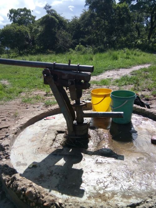 Borehole Bush pump