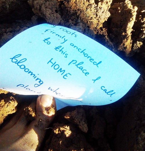 my roots firmly anchored