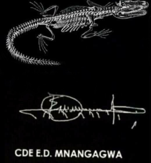 Emmerson Mnangagwa signature crocodile