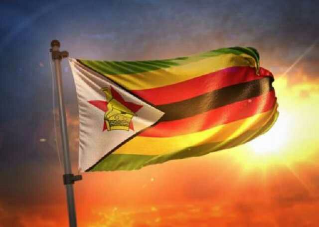 zim decides