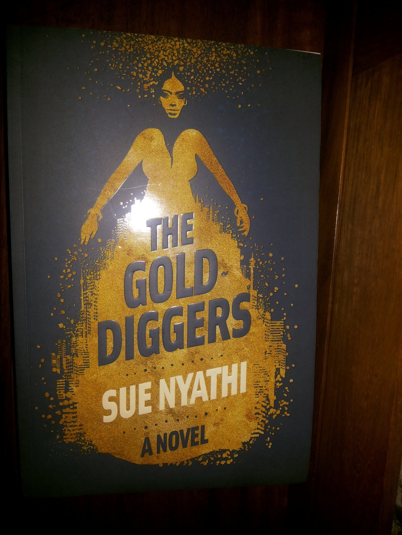 The Gold Diggers a novel by sue nyathi