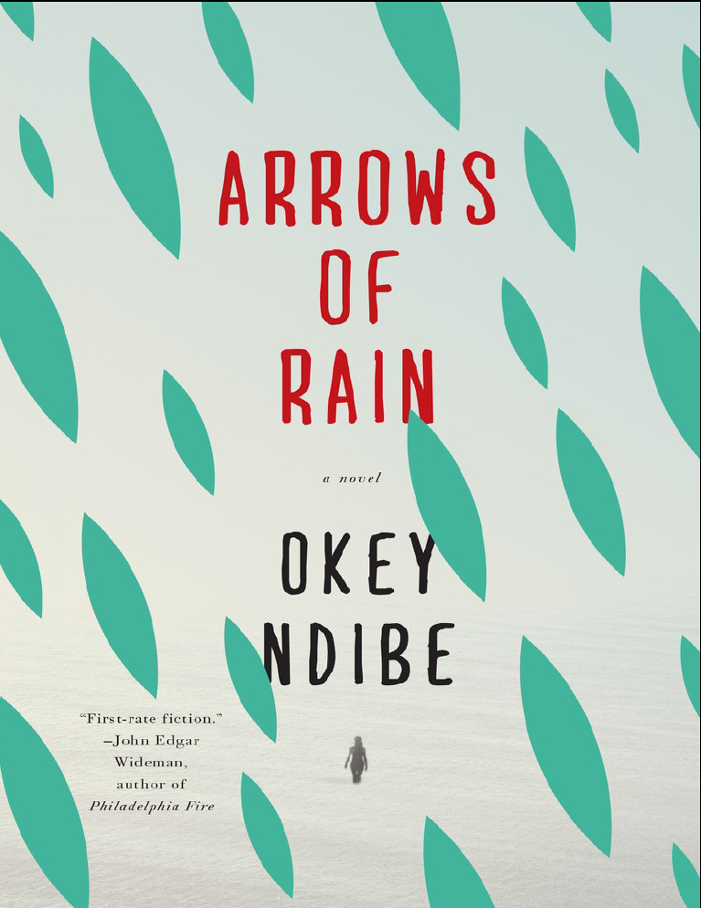 Arrows of Rain Okey ndibe a novel
