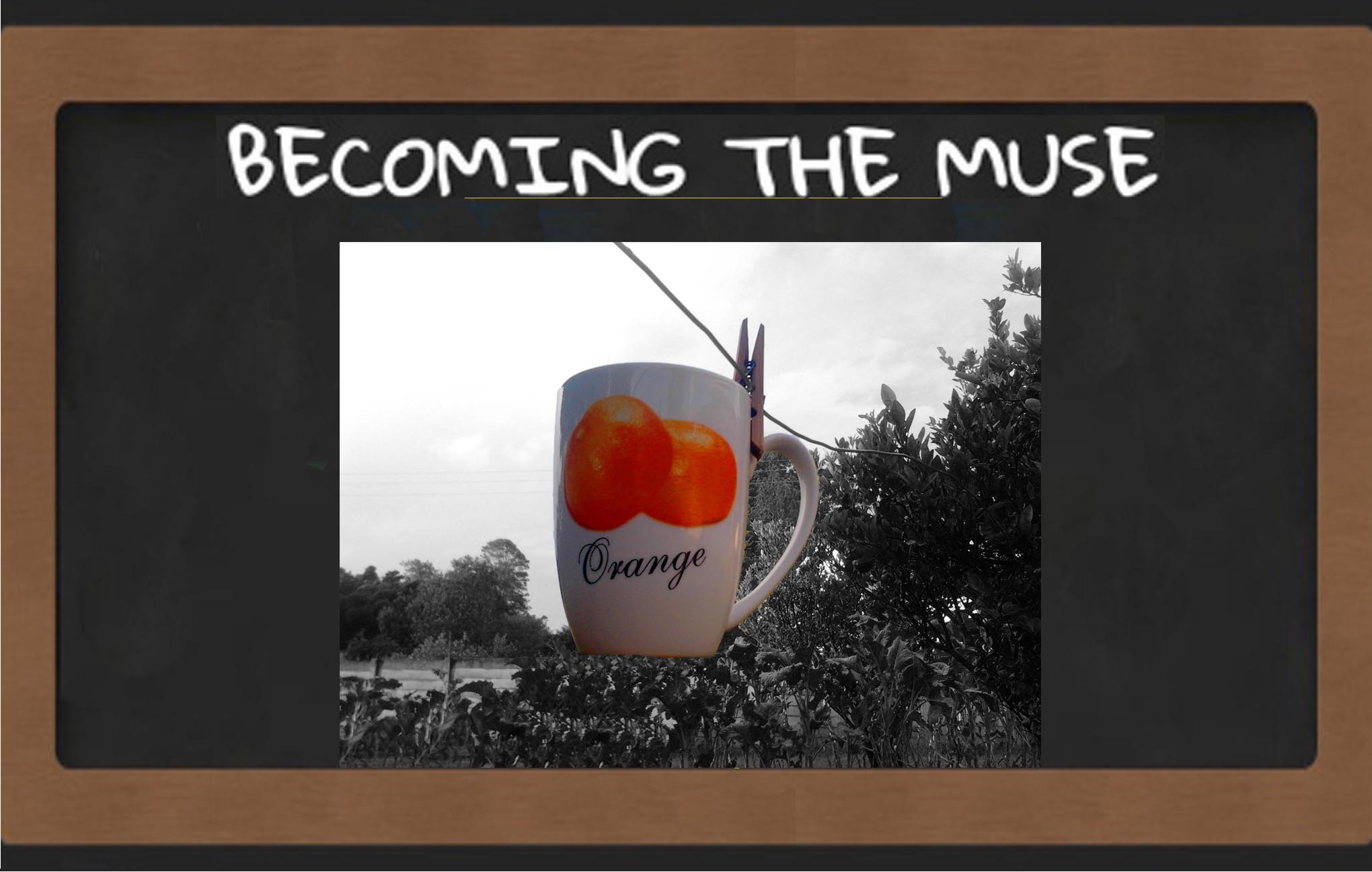 Of Coffee and Air Dried Dishes