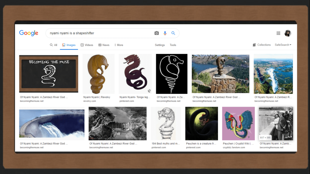 nyami nyami is a shape shifter 