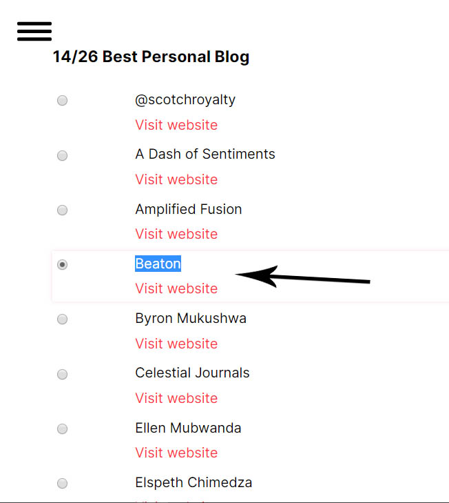 Nominees for the best Personal Blog ZimBlog awards