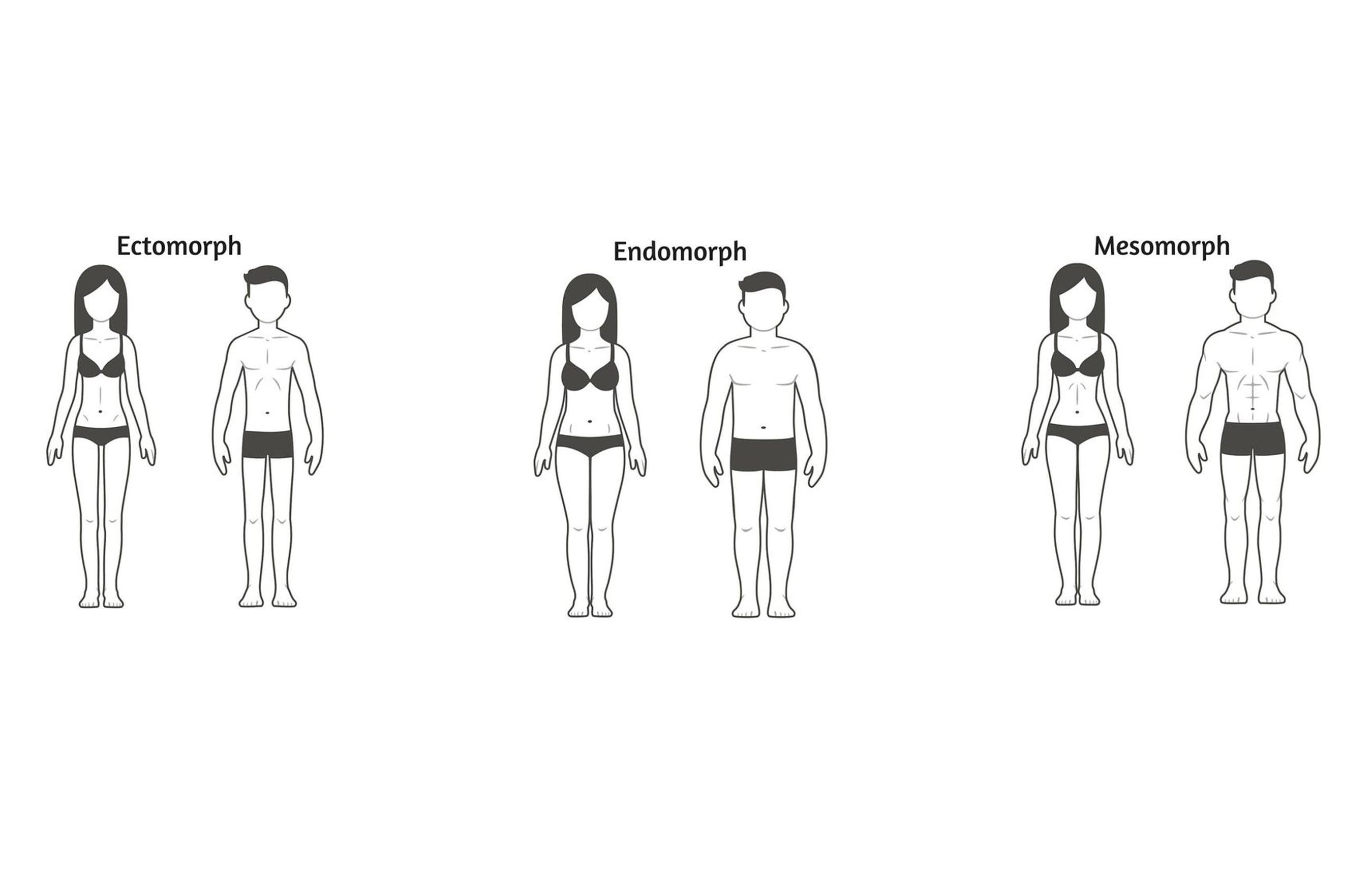 Nhs Body Types body-types – Becoming The Muse