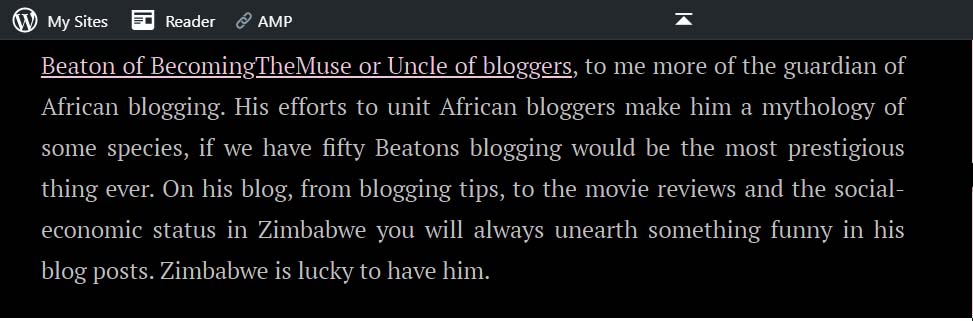 Beaton of BecomingTheMuse or Uncle of bloggers, to me more of the guardian of African blogging. His efforts to unit African bloggers make him a mythology of some species, if we have fifty Beatons blogging would be the most prestigious thing ever. On his blog, from blogging tips, to the movie reviews and the social-economic status in Zimbabwe you will always unearth something funny in his blog posts. Zimbabwe is lucky to have him.