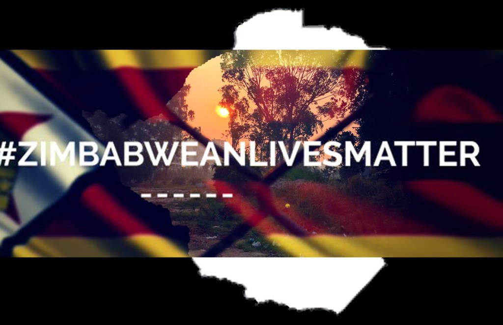 #ZimbabweanLivesMatter