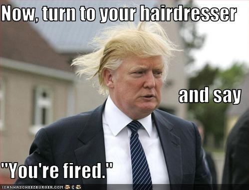 Turn to you hairdresser and say you are fired