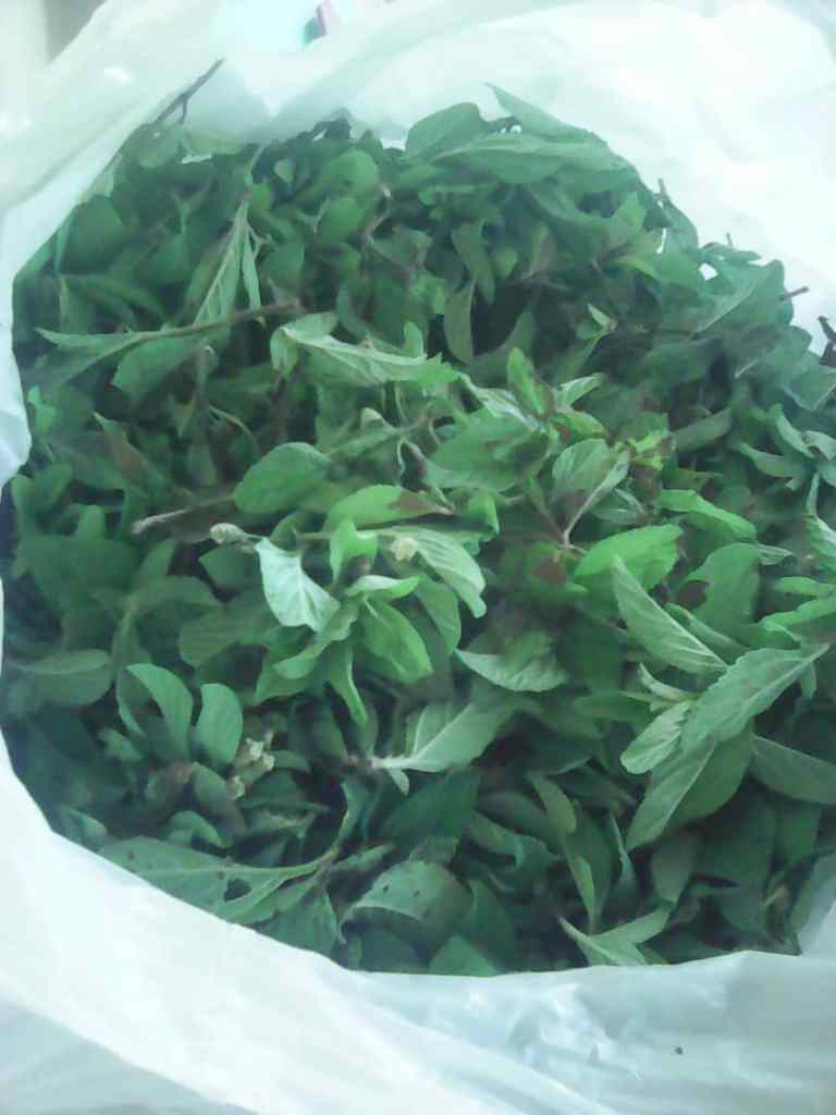 shopping bag full of zumbani leaves