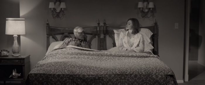 wanda and vision joined together