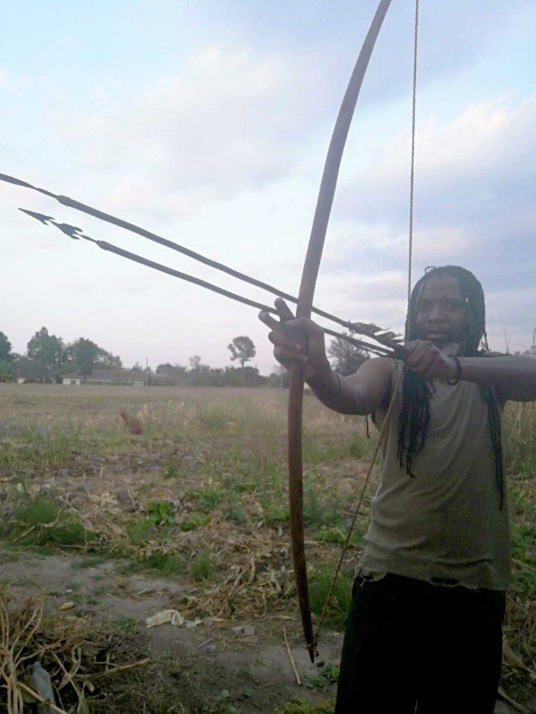 bow and arrow in the garden