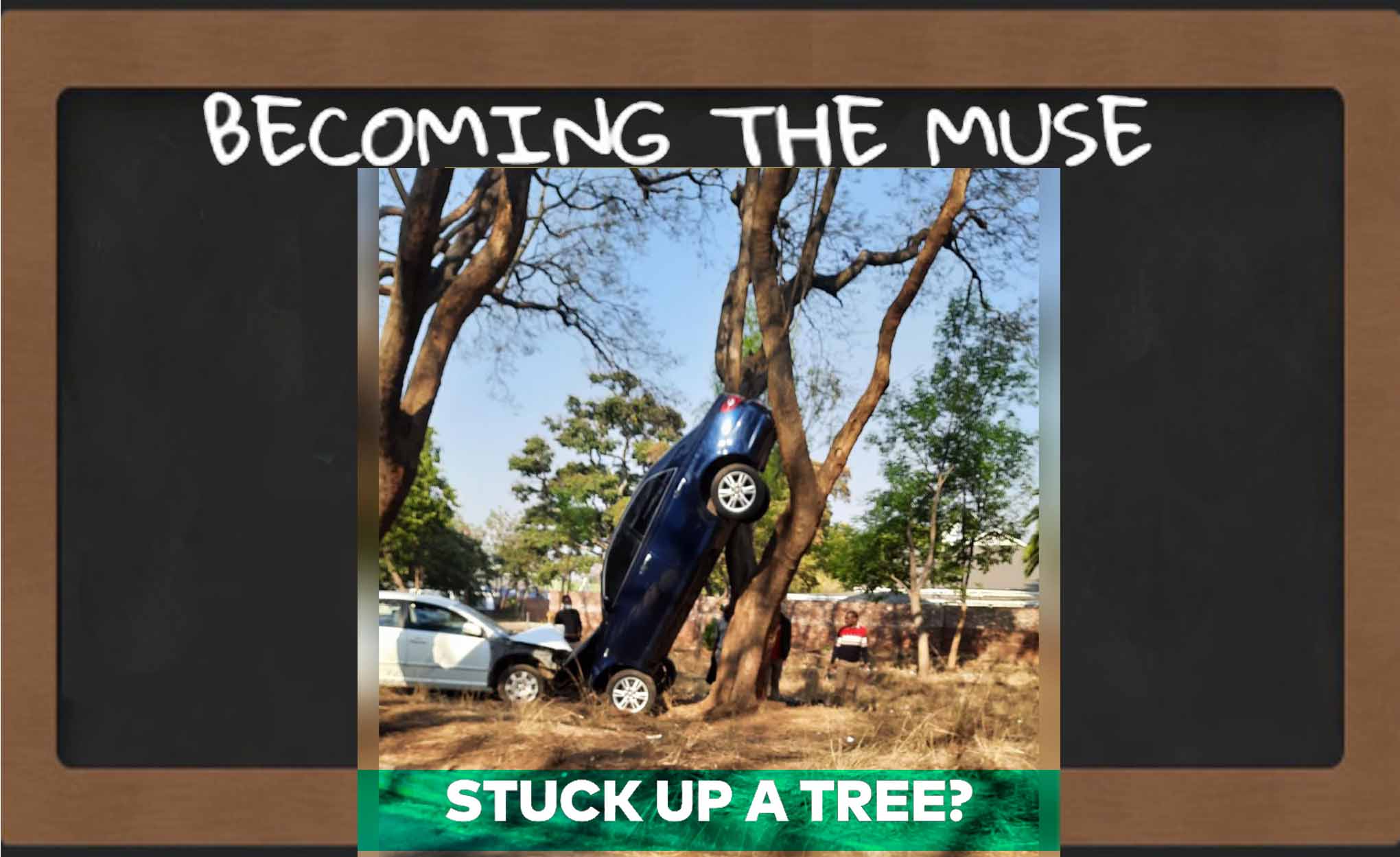 Of Stuck Up A Tree