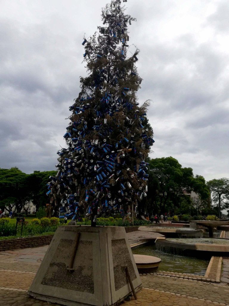 Christmas tree Africa Unity Square Harare Zimbabwe