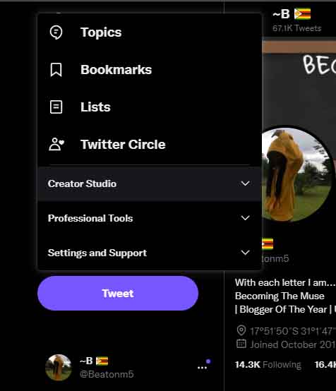 Twitter Professional tools