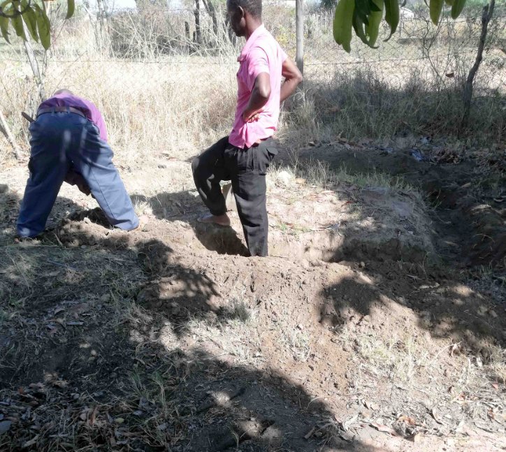 remembering the dead