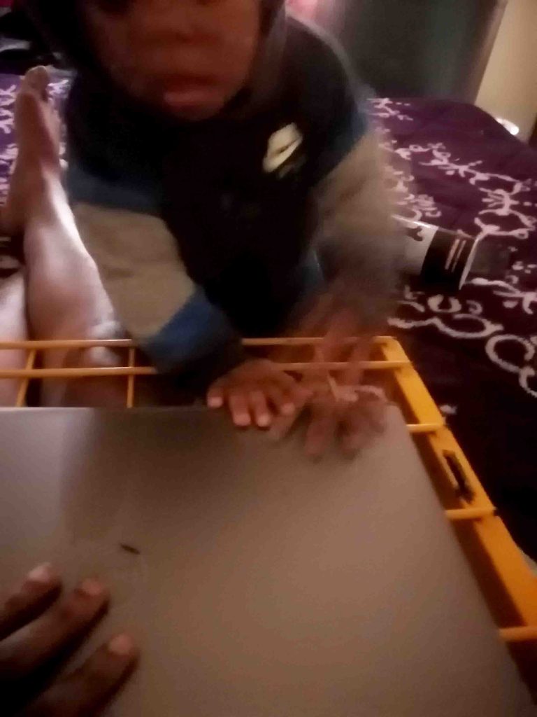 Toddler playing with laptop
