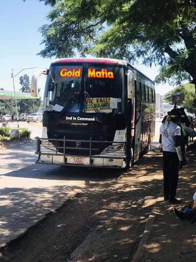 Gold Mafia Bus