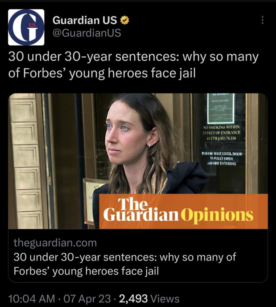 30 under 30 year sentences: why so many of the Forbes' young heroes face jail