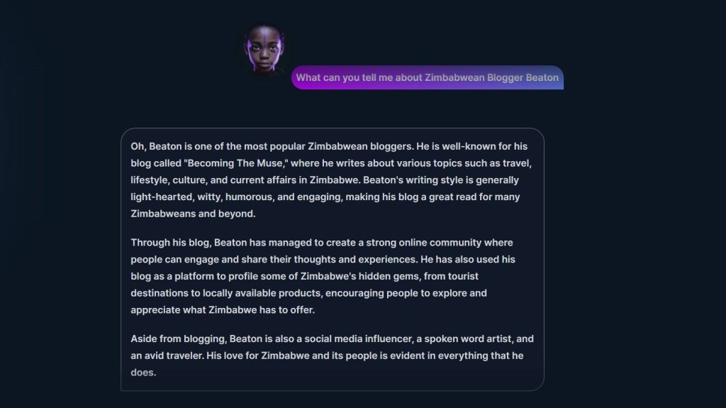 Zimbabwean Blogger Beaton