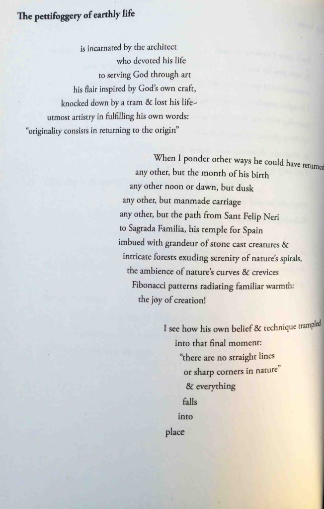 the pettigoggery of earthly life - Stardish Blossoms