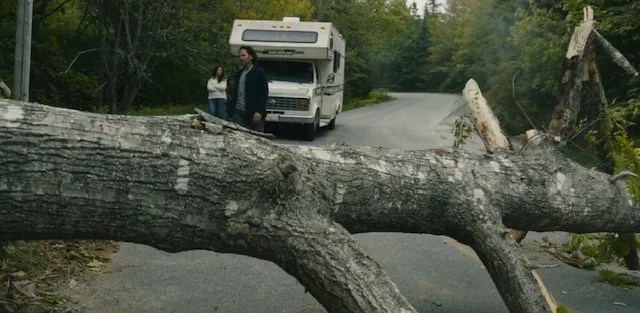 Tree in the road From TV Series