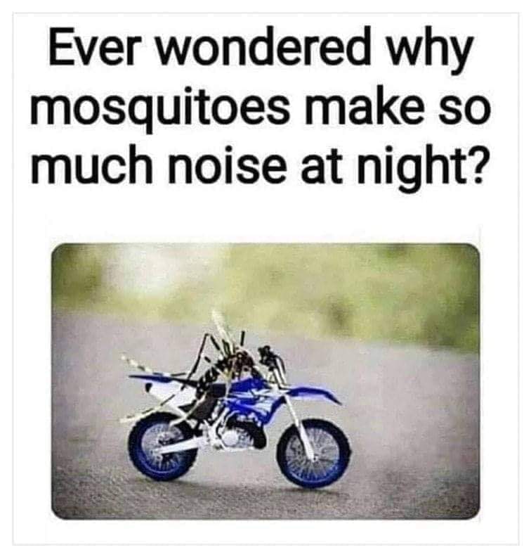 A msoquito on a dirt bike with the caption: ever wonder why mosquitoes are so loud