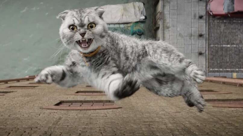 Scottish Fold Alfie in Argylle