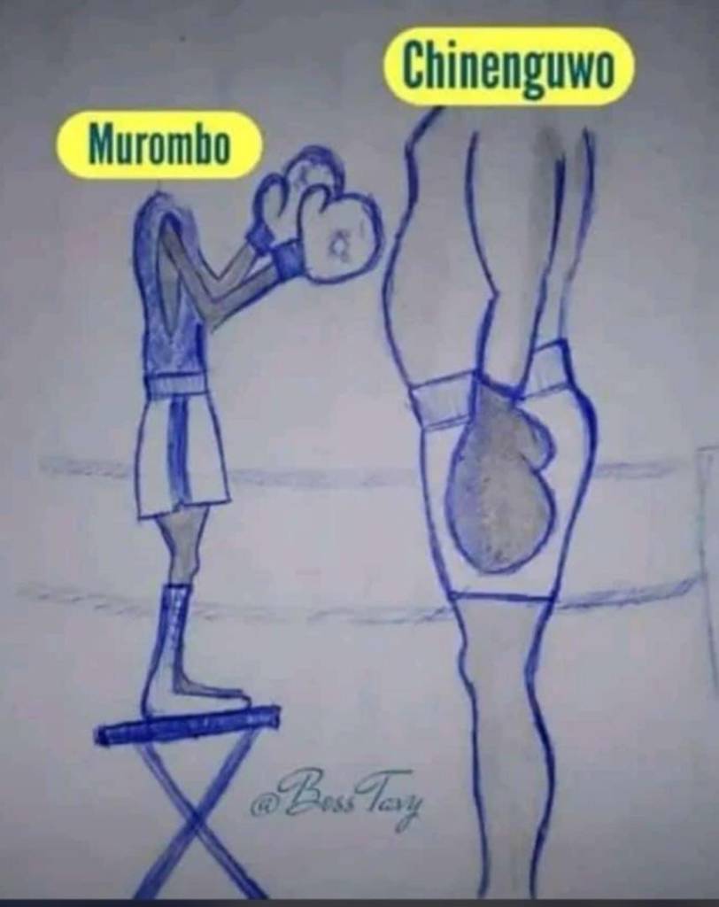 Murombo fighting Chinenguwo in boxing gloves
