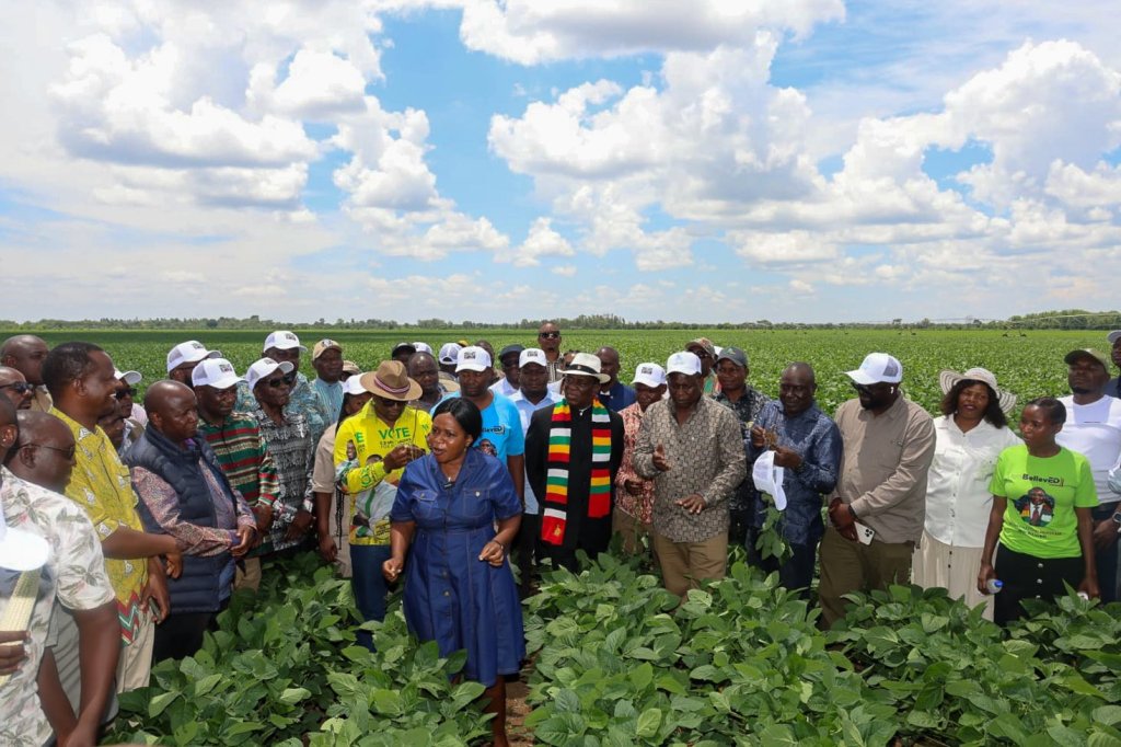 Precbe farm gathering 