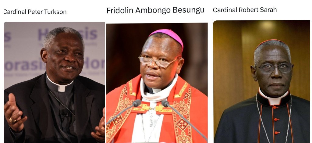 Cardinal Peter Turkson (Ghana), Cardinal Fridolin Ambongo Besengu (DRC),   and Cardinal Robert Sarah (Guinea).