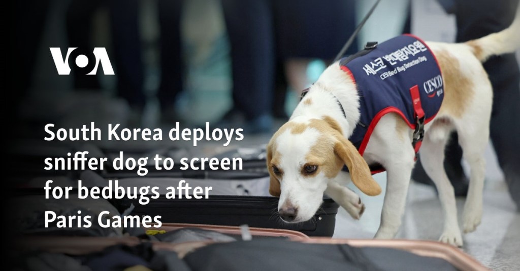 South Korea deploys sniffer dog to screen for bedbugs after Paris Games 