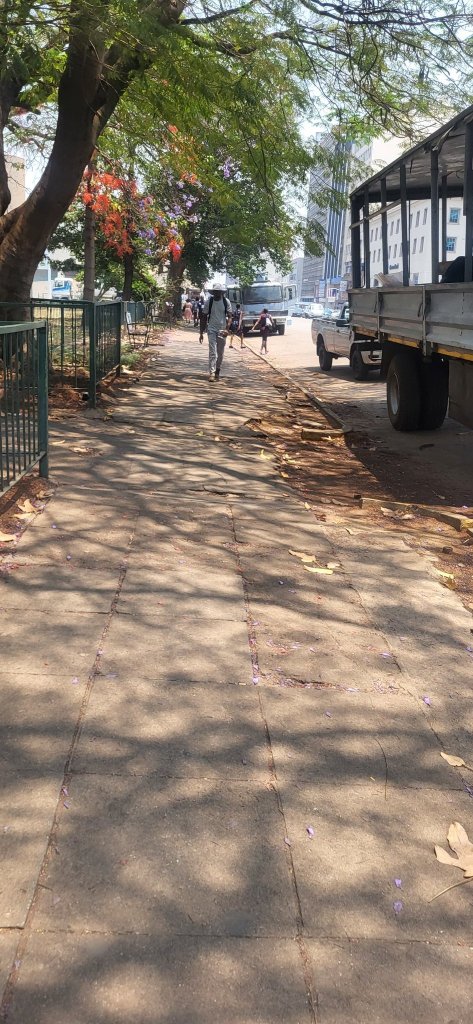 Police trucks cordon off Africa Unity Square Harare