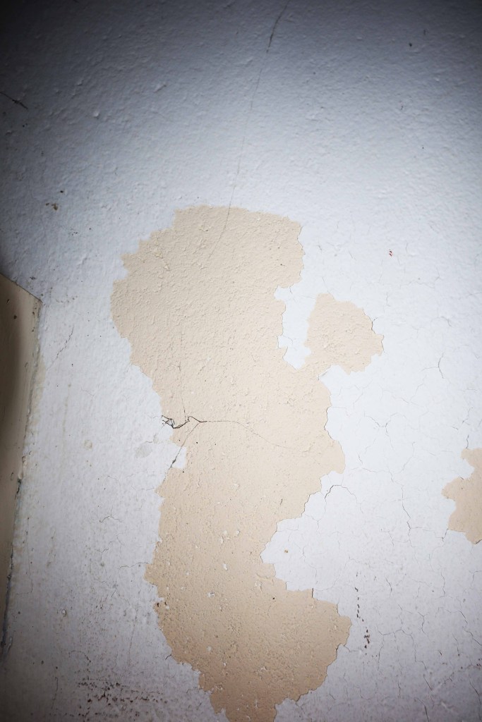  a section of peeling paint that looks like a mermaid sitting on  a rock